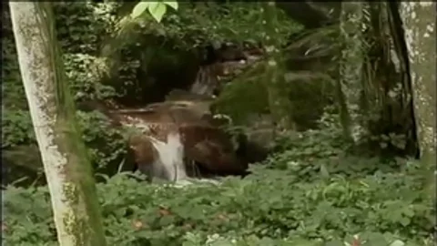Einsamer Ort im Freien für einen schlüpfrigen Spaß