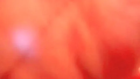 Brüstige blonde T-Girl-Sarina Valentina Blowjob und Arschnageln