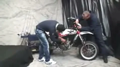 Slammen mit geilen Sheboys