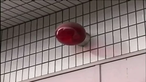 Futanari Krankenhaus Teil 1. Von zwei