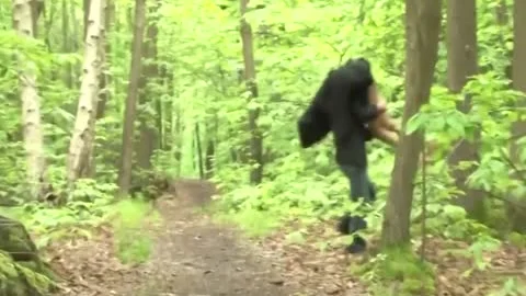 TS Wald
