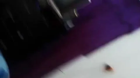 Arabiischer Ladyboy spielt vor der Kamera